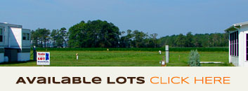 Click here to view lots for sale